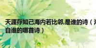 天涯存知己海內若比鄰,是誰的詩(海內存知己天涯若比鄰出自誰的哪首詩)