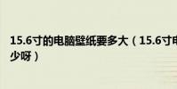 15.6寸的電腦壁紙要多大(15.6寸電腦桌面壁紙的尺寸是多少呀)