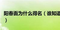 陽春面為什么得名(誰知道陽春面的歷史來源)