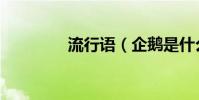 流行語(企鵝是什么意思)