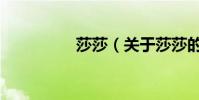 莎莎(關于莎莎的介紹)