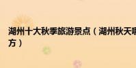 湖州十大秋季旅游景點(湖州秋天哪里最美湖州秋游的好地方)