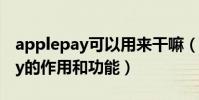 applepay可以用來干嘛(介紹蘋果ApplePay的作用和功能)