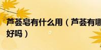 蘆薈皂有什么用(蘆薈有哪些作用蘆薈皂洗臉好嗎)
