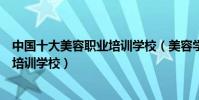 中國十大美容職業培訓學校(美容學校排行榜前十名美容師培訓學校)