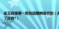 金玉良緣哪一集知道麒麟身世的(金玉良緣大結局玉麒麟死了沒有?)