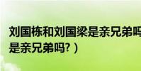 劉國棟和劉國梁是親兄弟嗎(劉國梁和劉國棟是親兄弟嗎?)