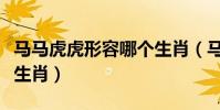 馬馬虎虎形容哪個生肖(馬馬虎虎指的是什么生肖)