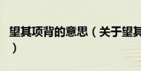 望其項背的意思(關于望其項背的意思的介紹)
