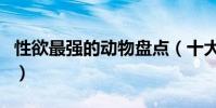 性欲最強的動物盤點(十大性欲最旺盛的動物)