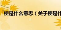 梗是什么意思(關于梗是什么意思的介紹)