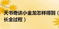 天書奇談小金龍怎樣得到(天書奇談小金龍成長全過程)