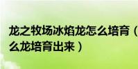 龍之牧場冰焰龍怎么培育(龍之牧場膠龍用什么龍培育出來)