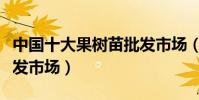中國十大果樹苗批發市場(最大的果樹苗木批發市場)