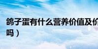 鴿子蛋有什么營養價值及價格(鴿子蛋有營養嗎)