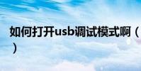 如何打開usb調試模式啊(如何打開USB調試)