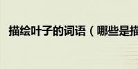 描繪葉子的詞語(哪些是描寫葉子的詞語)