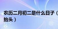 農歷二月初二是什么日子(為什么說二月二龍抬頭)