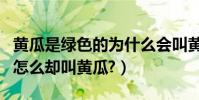 黃瓜是綠色的為什么會叫黃瓜(黃瓜是綠色的怎么卻叫黃瓜?)