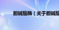 膽堿酯酶(關于膽堿酯酶的介紹)