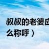 叔叔的老婆應該怎么稱呼（叔叔的老婆應該怎么稱呼）
