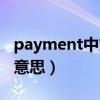 payment中文是什么（payment中文是什么意思）