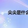 尖尖是什么樣子的(尖尖是什么詞語)