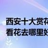 西安十大賞花好去處（西安賞花地點推薦西安看花去哪里好）