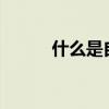什么是自由港（什么是自由點?）