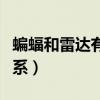 蝙蝠和雷達有什么資料（蝙蝠和雷達有什么關系）