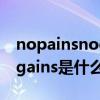 nopainsnogains是什么意思（NopainsNogains是什么意思精選）