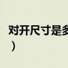 對開尺寸是多大的紙(大對開紙張尺寸是多少)
