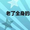 老了全身的毛會變白嗎(老了全部歌詞)