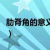 肋脊角的意義（肋脊角和脊肋角是不是一回事）