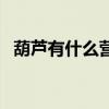 葫蘆有什么營養和禁忌（葫蘆有什么寓意）