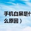 手機白屏是什么原因如何處理（手機白屏是什么原因）