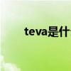 teva是什么檔次（teva是什么牌子）