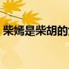 柴嫣是柴胡的女兒嗎（柴嫣是柴胡的女兒嗎）