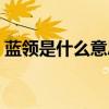 藍領是什么意思（藍領和白領的區別是什么）