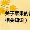 關于蘋果的各種知識（iphone一直白蘋果的相關知識）
