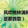 風吹桃林滿樹花喜鵲枝頭叫喳喳（這兩句歌詞是那首歌）