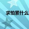 求怕累什么意思日語（求怕累什么意思）