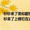 杉杉來了類似劇情電視劇有哪些（最好看的都市情感劇：杉杉來了上榜它在去年最火爆）