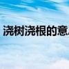 澆樹澆根的意思是什么(澆樹澆根的意思是)
