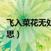 飛入菜花無處尋的題目（飛入菜花無處尋的意思）