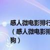 感人微電影排行榜前十名：《老人愿》上榜第十主講流浪狗（感人微電影排行榜前十名：《老人愿》上榜第十主講流浪狗）