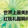 世界上最美的紅毯禮服（十大歷史最美奧斯卡紅毯禮服瞬間）