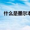 什么是墨爾本維州（什么是墨爾本的翡翠）