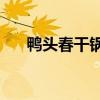 鴨頭春干鍋鴨頭（鴨頭春水濃如——）