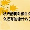 秋天的樹葉像什么,是那么（秋天的樹葉有的像什么有的像什么還有的像什么）